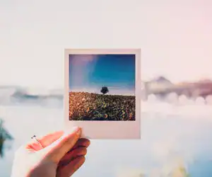 Picture of a picture