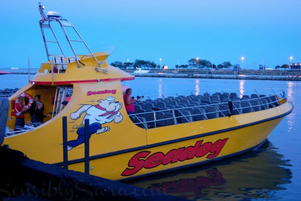 Seadog boat in Chicago