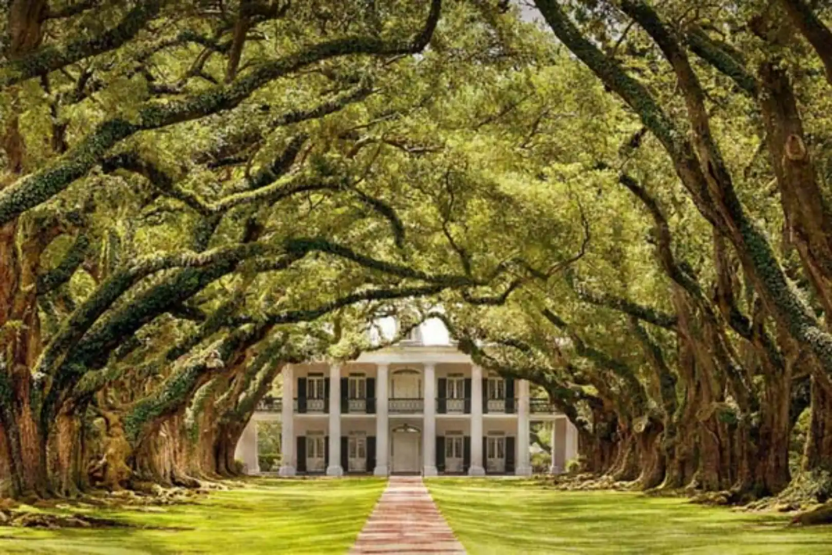 Old colonial home with trees
